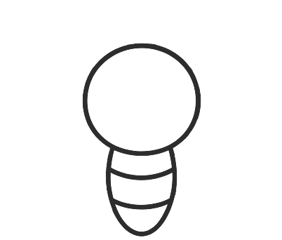 Step 2: Add a larger oval body directly below the circle, touching the bottom of the head.